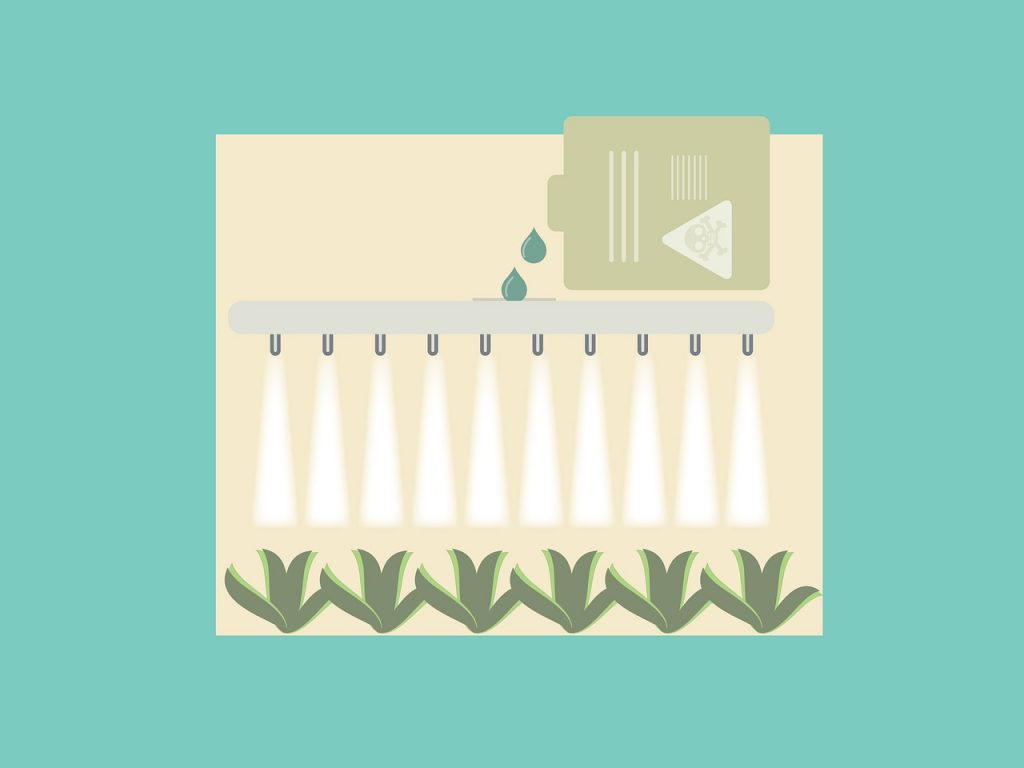 How to Get Rid of Maggots in Garden How to Gardening UK