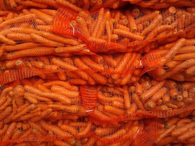 carrots-yellow-beets-fodder-beet