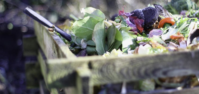How to Get Rid of Garden Waste in the UK