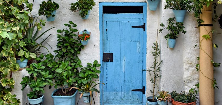 blue-wooden-door-beside-green-potted-plants