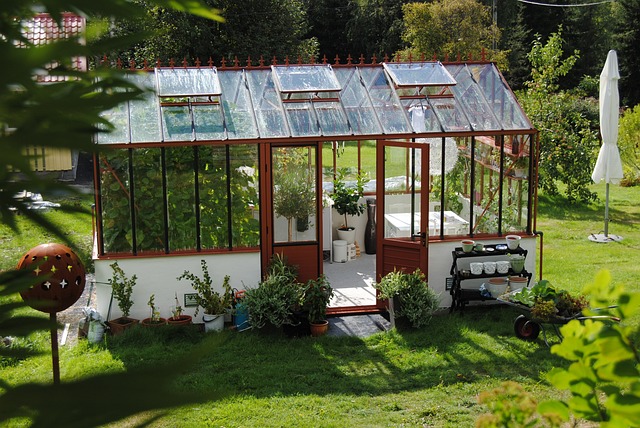 greenhouse-summer-grow-green