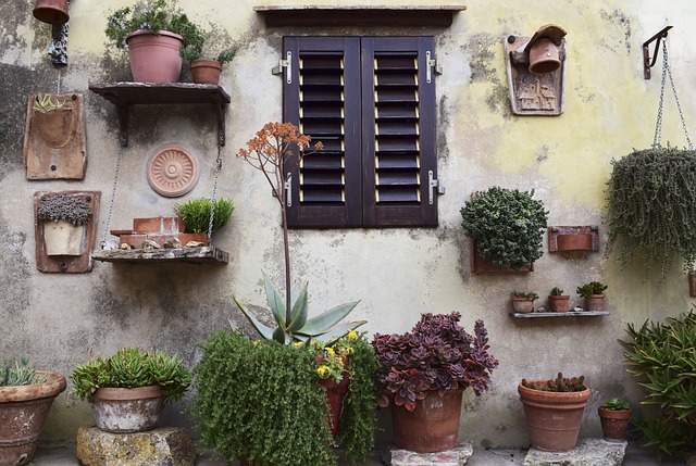nature-wall-windows-garden-plants